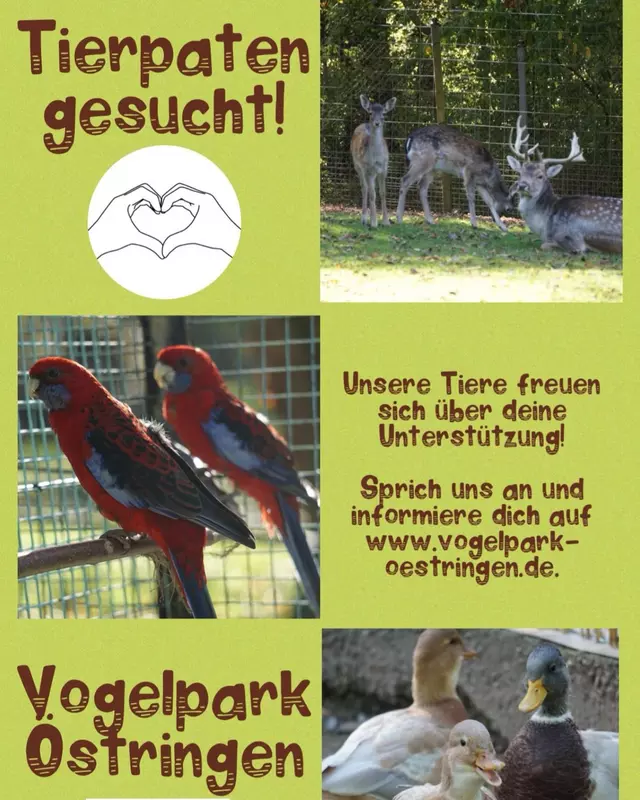 Verein für Natur- und Vogelschutz Östringen e.V.